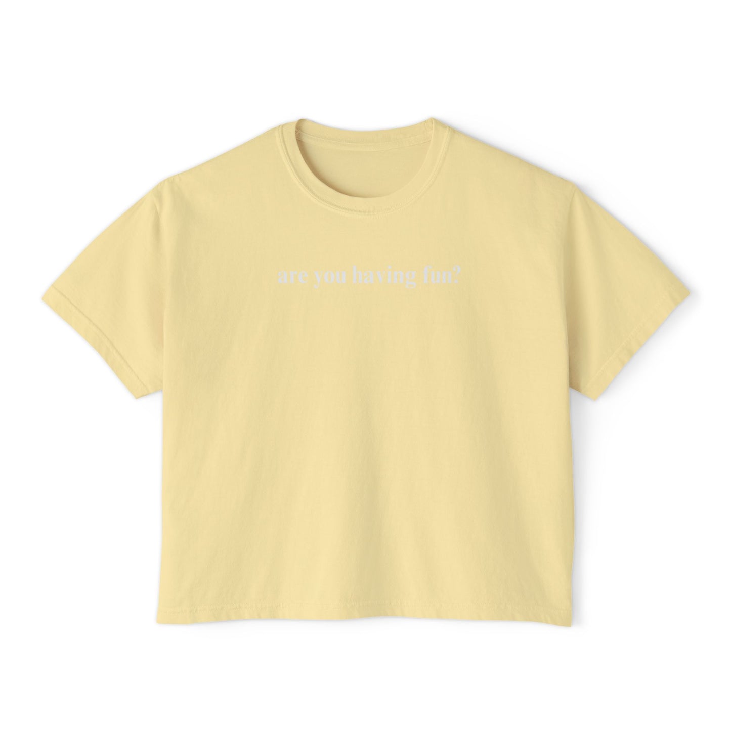 Are You Having Fun? Comfort Colors Shirt