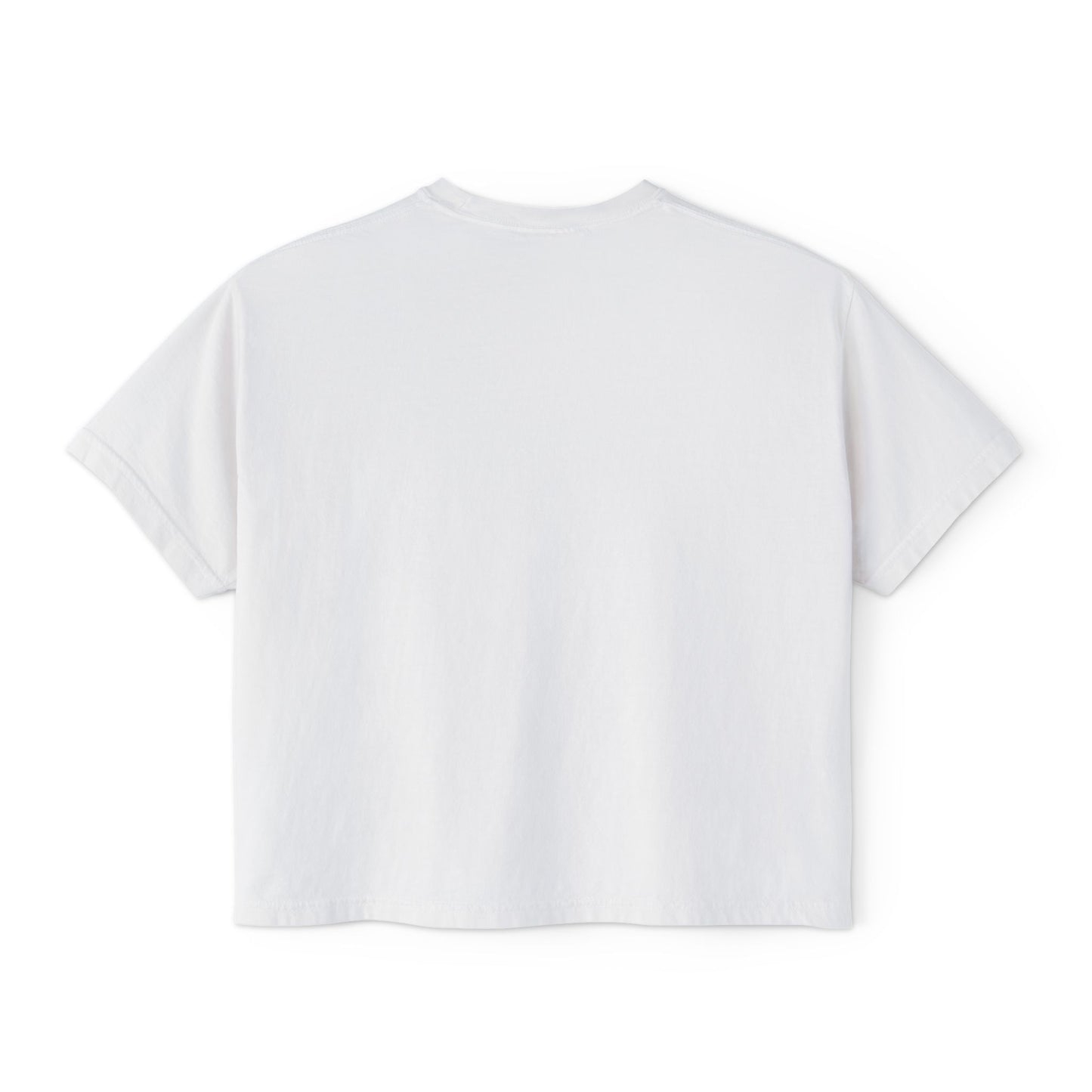 Are You Having Fun? Comfort Colors Shirt