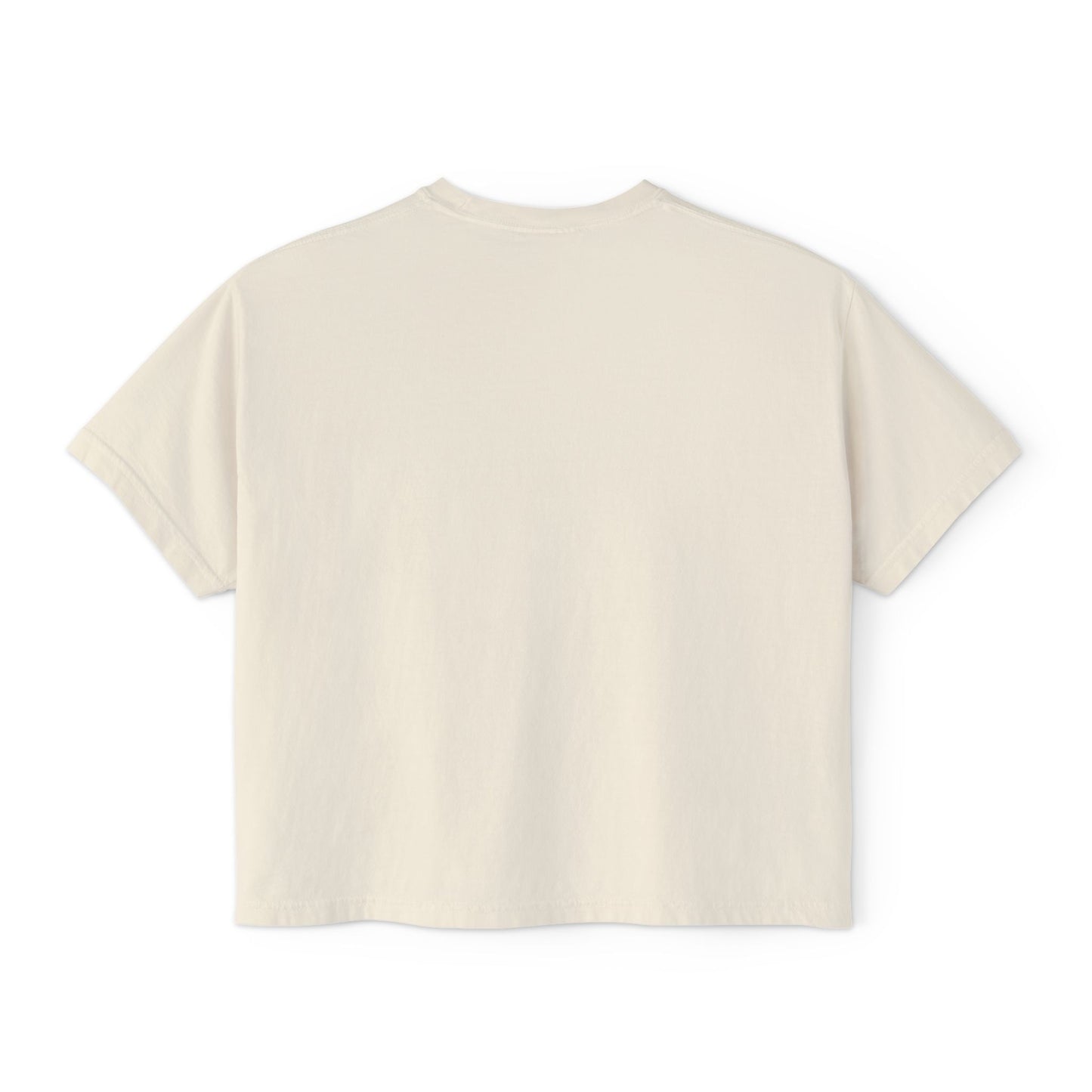 Are You Having Fun? Comfort Colors Shirt