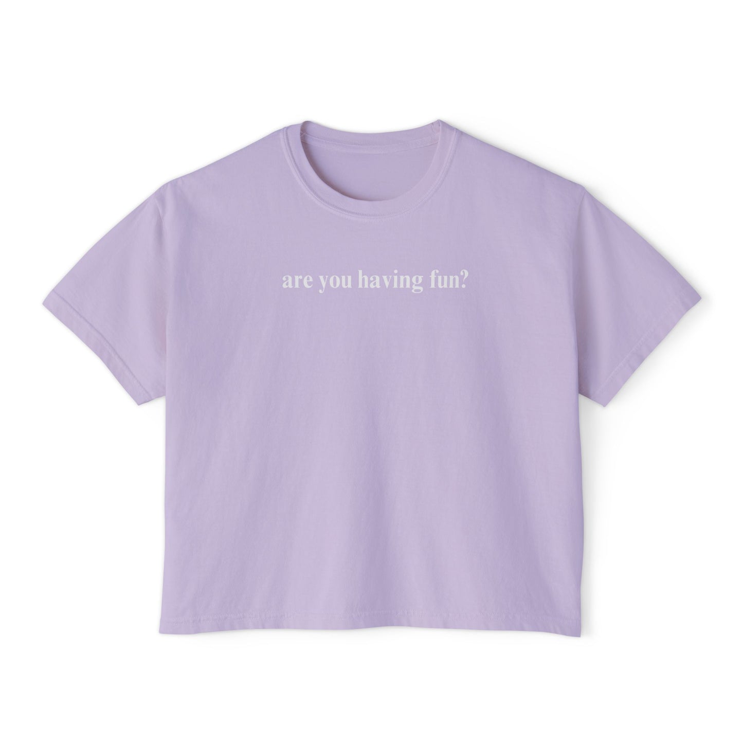 Are You Having Fun? Comfort Colors Shirt