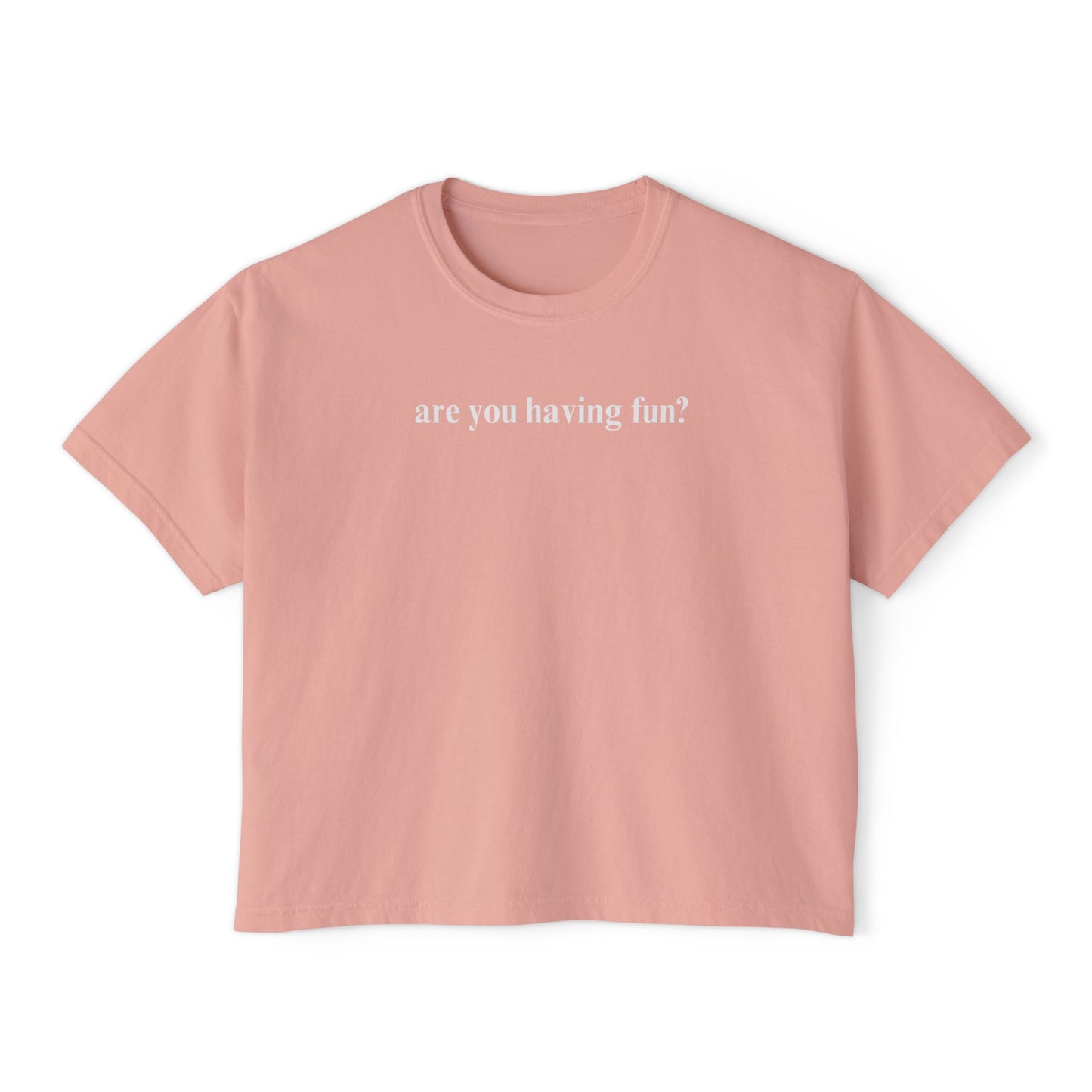 Are You Having Fun? Comfort Colors Shirt